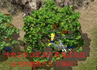 ���淨ʦѡ����ֻ��ħ���ӳɣ���Щ�����������˽���