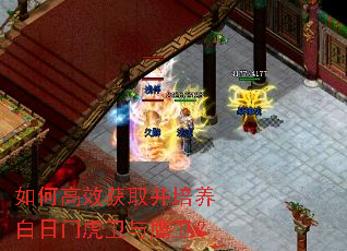 ��θ�Ч��ȡ�����������Ż�����ӥ����