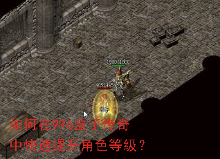 如何在996盒子传奇中快速提升角色等级? 如何在996盒子传奇中快速提升角色等级?