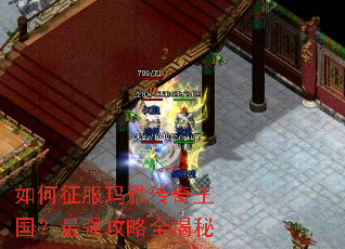 ����������Ŵ�����������ǿ����ȫ����