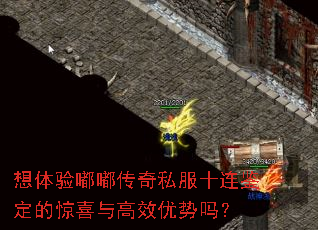 想体验嘟嘟传奇私服十连鉴定的惊喜与高效优势吗? 想体验嘟嘟传奇私服十连鉴定的惊喜与高效优势吗?