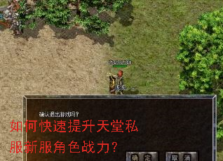 如何快速提升天堂私服新服角色战力? 如何快速提升天堂私服新服角色战力?