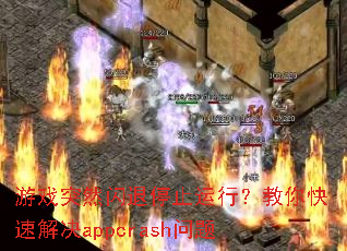 游戏突然闪退停止运行?教你快速解决appcrash问题 游戏突然闪退停止运行?教你快速解决appcrash问题