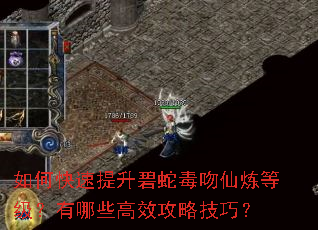 如何快速提升碧蛇毒吻仙炼等级?有哪些高效攻略技巧? 如何快速提升碧蛇毒吻仙炼等级?有哪些高效攻略技巧?