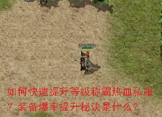 如何快速提升等级称霸热血私服?装备爆率提升秘诀是什么? 如何快速提升等级称霸热血私服?装备爆率提升秘诀是什么?