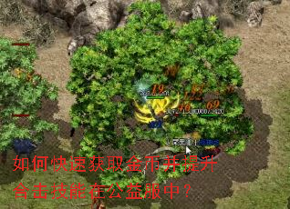 如何快速获取金币并提升合击技能在公益服中? 如何快速获取金币并提升合击技能在公益服中?