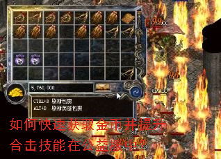 如何快速获取金币并提升合击技能在公益服中? 如何快速获取金币并提升合击技能在公益服中?