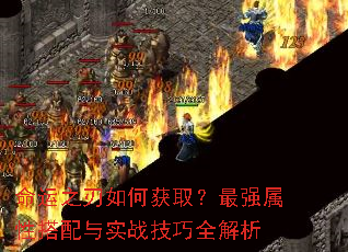 命运之刃如何获取?最强属性搭配与实战技巧全解析 命运之刃如何获取?最强属性搭配与实战技巧全解析