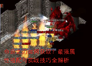 ����֮����λ�ȡ����ǿ���Դ�����ʵս����ȫ����