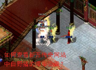 如何查看新开传奇网站中白野猪的爆率设置? 如何查看新开传奇网站中白野猪的爆率设置?
