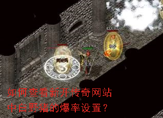 如何查看新开传奇网站中白野猪的爆率设置? 如何查看新开传奇网站中白野猪的爆率设置?