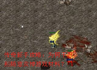 传奇新手攻略:为何千万别随意卖掉游戏材料? 传奇新手攻略:为何千万别随意卖掉游戏材料?