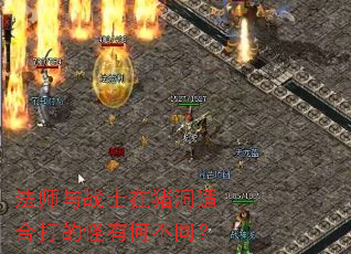 法师与战士在猪洞适合打的怪有何不同? 法师与战士在猪洞适合打的怪有何不同?