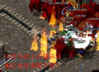 法师与战士在猪洞适合打的怪有何不同? 法师与战士在猪洞适合打的怪有何不同?