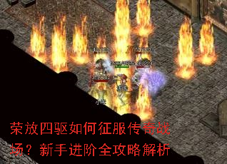 荣放四驱如何征服传奇战场?新手进阶全攻略解析 荣放四驱如何征服传奇战场?新手进阶全攻略解析