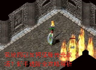荣放四驱如何征服传奇战场?新手进阶全攻略解析 荣放四驱如何征服传奇战场?新手进阶全攻略解析