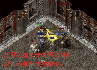 新开公益传奇如何快速练级?有哪些高效攻略? 新开公益传奇如何快速练级?有哪些高效攻略?