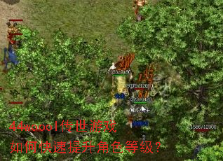 44woool传世游戏如何快速提升角色等级? 44woool传世游戏如何快速提升角色等级?