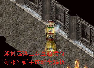 如何选择三端互通传奇好服?新手攻略全解析 如何选择三端互通传奇好服?新手攻略全解析