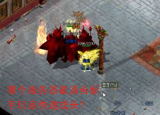 哪个服务器最适合新手玩家快速成长? 哪个服务器最适合新手玩家快速成长?
