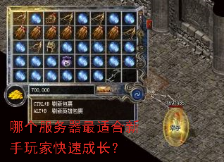哪个服务器最适合新手玩家快速成长? 哪个服务器最适合新手玩家快速成长?