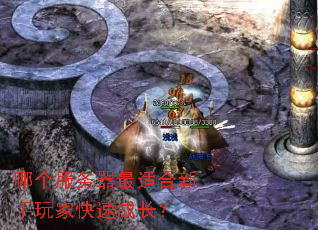哪个服务器最适合新手玩家快速成长? 哪个服务器最适合新手玩家快速成长?