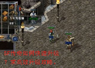 SF传奇如何快速升级?求高效升级攻略。 SF传奇如何快速升级?求高效升级攻略。