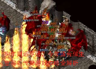 狗年财运亨通,今年适合做生意吗?传奇游戏攻略全解析 狗年财运亨通,今年适合做生意吗?传奇游戏攻略全解析